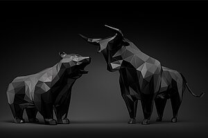 Bär und Bulle